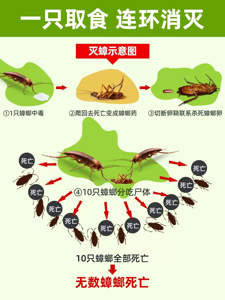 蟑螂怎么消灭干净